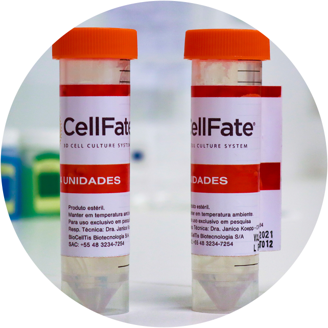 Matrizes 3D CellFate da Biocelltis Biotecnologia são feitas para cultivar células humanas e animais em laboratório