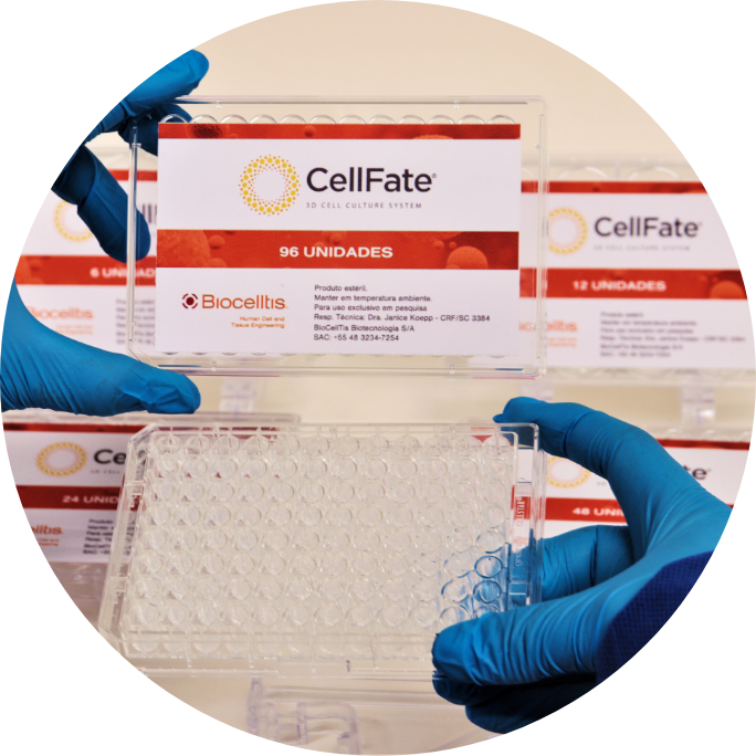 As matrizes 3D CellFate da Biocelltis Biotecnologia reproduzem a estrutura física da matriz extracelular