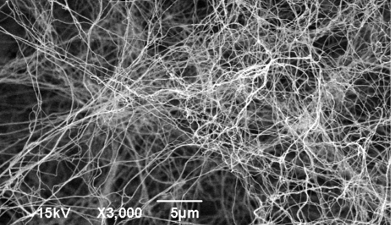 Nanofibras da Matriz 3D CellFate da Biocelltis Biotecnologia