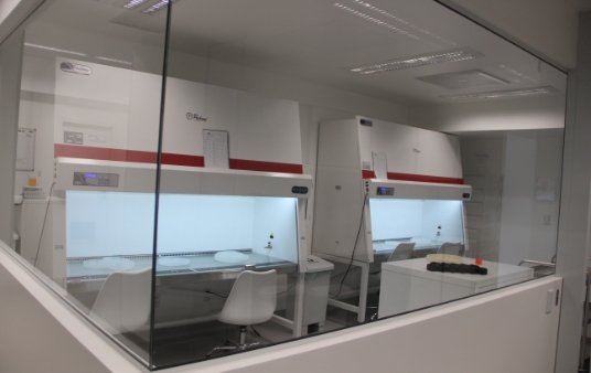 Utilizamos biomaterial próprio para produzir em laboratório plataformas de engenharia de tecidos